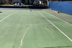 Synthetic Cricket Pitch