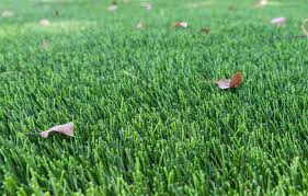 Artificial Turf