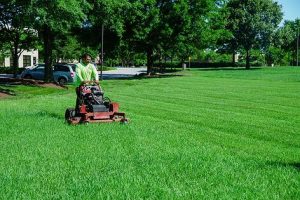 Lawn Mowing Sunshine