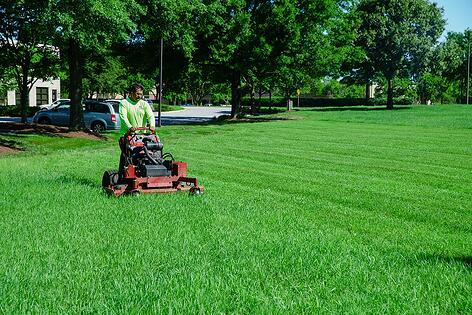 Lawn Mowing Sunshine
