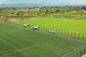 sports turf