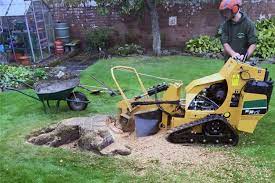 stump grinding Dallas