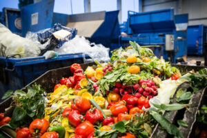 organic waste collection Sydney