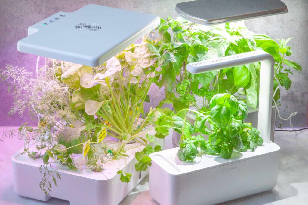 hydroponic garden herbs