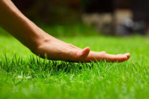 artificial grass for sports Melbourne