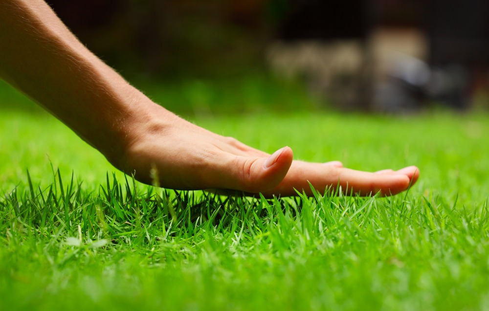 artificial grass for sports Melbourne