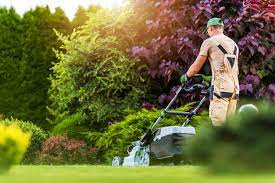 lawn mowing Bayswater