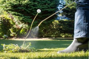 lawn spraying service Dandenong