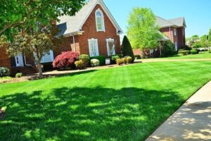best landscapers Melbourne