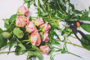 florists Melbourne
