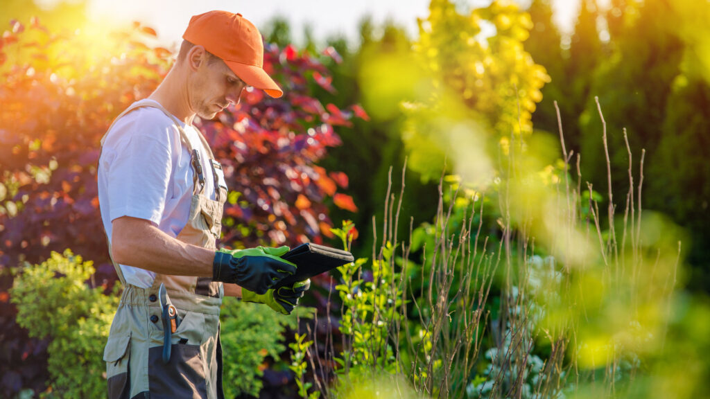 gardening services Dandenong