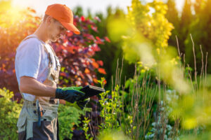 gardening services Dandenong