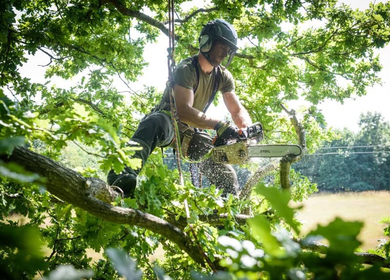arborist services Penrith