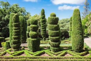 Formal hedge shaping Melbourne