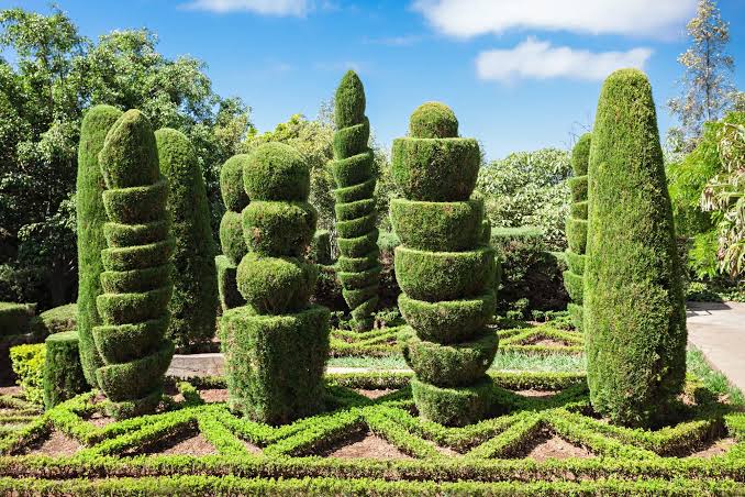 Formal hedge shaping Melbourne