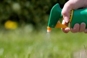 Weed Spraying