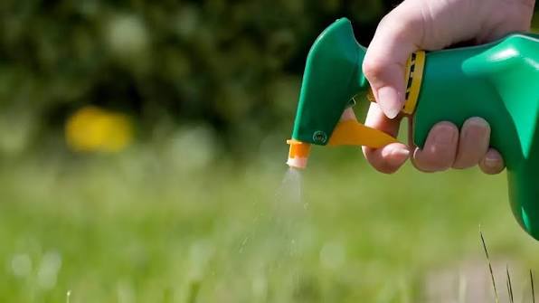 Weed Spraying