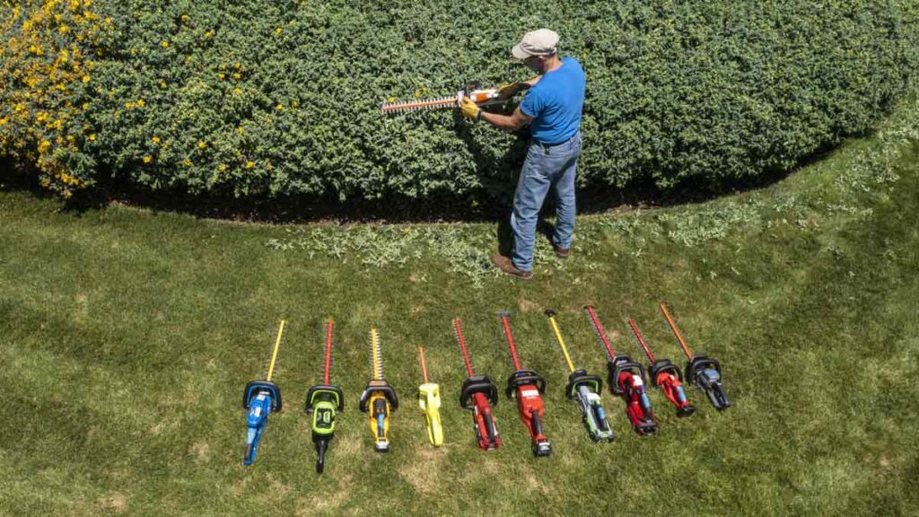 hedge trimming services Brisbane